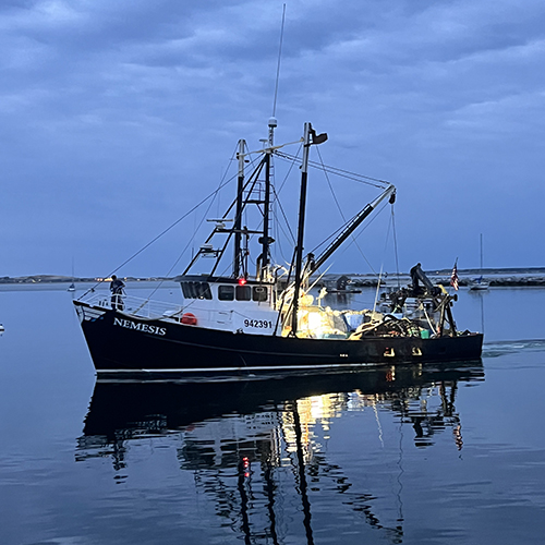 surfclam scallop vessel Nemesis
